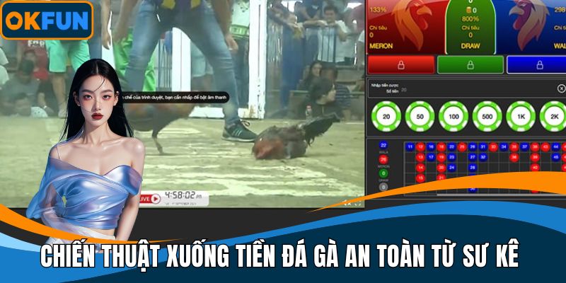 Chiến thuật xuống tiền đá gà an toàn từ sư kê
