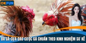 Đá Gà Cựa Dao