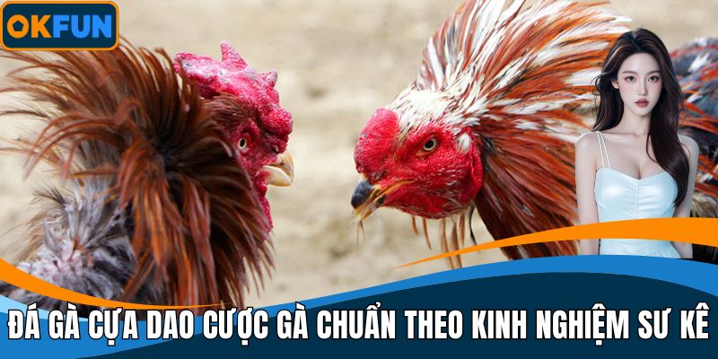 Đá Gà Cựa Dao