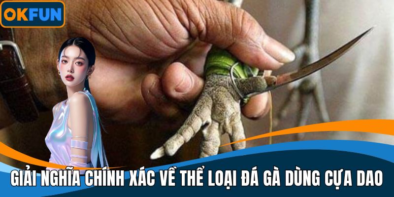 Giải nghĩa chính xác về thể loại đá gà dùng cựa dao