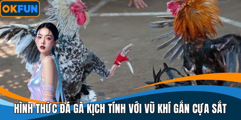 Hình thức đá gà kịch tính với vũ khí gắn cựa sắt