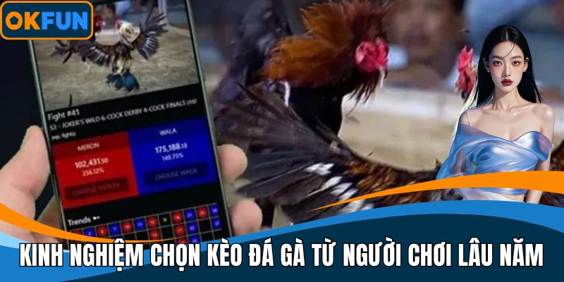 Kinh nghiệm chọn kèo đá gà từ người chơi lâu năm