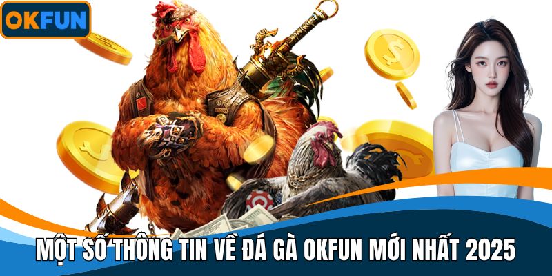 Một số thông tin về Đá gà OKFUN mới nhất 2025