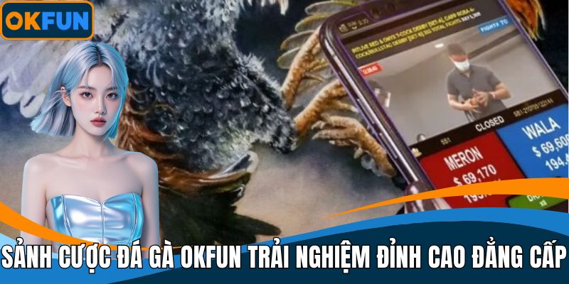 Sảnh cược Đá gà OKFUN - Trải nghiệm đỉnh cao đẳng cấp